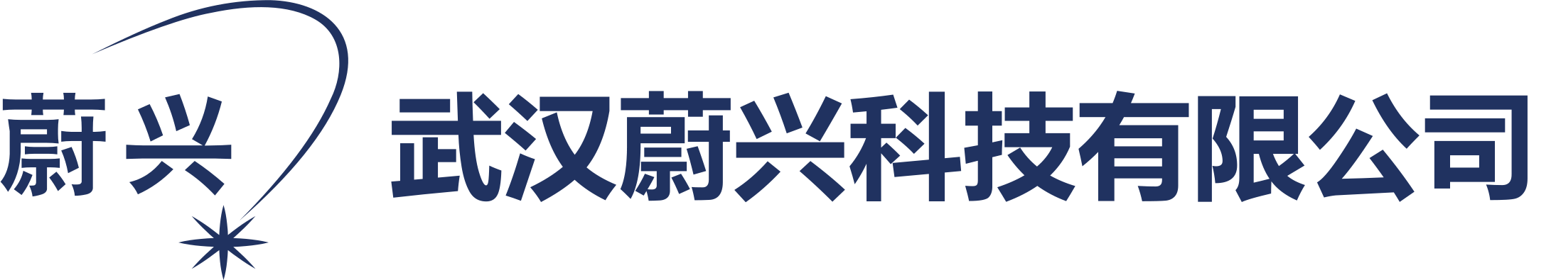 武汉蔚兴科技有限公司